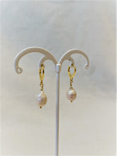 Load image into Gallery viewer, Alice Rose Jewellery - The Willow Earrings Gold