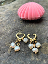 Load image into Gallery viewer, Alice Rose Jewellery - Charlotte Pearl Earrings