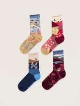 Load image into Gallery viewer, Sea Salt - Gift Box of 4 Scenic Arty Socks in Lovan Mix