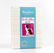 Load image into Gallery viewer, Hawthorn Handmade - Needle Felt Kit Border Collie