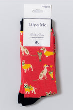 Load image into Gallery viewer, Lily & Me - Daisy Keyring Giftbox Assorted
