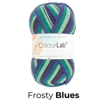 Load image into Gallery viewer, West Yorkshire Spinnners - ColourLab DK Wool