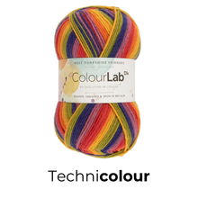 Load image into Gallery viewer, West Yorkshire Spinnners - ColourLab DK Wool