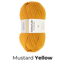 Load image into Gallery viewer, West Yorkshire Spinnners - ColourLab DK Wool