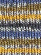 Load image into Gallery viewer, West Yorkshire Spinners - Signature 4ply