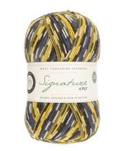 Load image into Gallery viewer, West Yorkshire Spinners - Signature 4ply