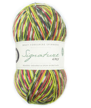 Load image into Gallery viewer, West Yorkshire Spinners - Signature 4ply