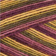 Load image into Gallery viewer, West Yorkshire Spinners - Signature 4ply