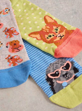 Load image into Gallery viewer, White Stuff - 3 Pack Pet Pals Trainer Socks in Blue Multi