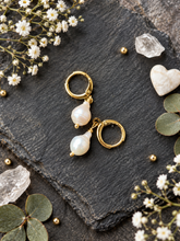 Load image into Gallery viewer, Alice Rose Jewellery - The Willow Earrings Gold