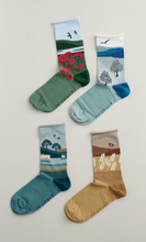 Load image into Gallery viewer, Sea Salt - Sailor Socks Box of 4 Scenic - Hall Walk Mix