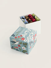 Load image into Gallery viewer, Sea Salt - Gift Box of 4 Arty Bird Socks in Wintering Birds Mix