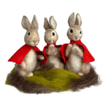 Load image into Gallery viewer, The Crafty Kit Company - Beatrix Potter Flopsy, Mopsy & Cottontail - Needle Felting Kit