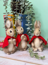 Load image into Gallery viewer, The Crafty Kit Company - Beatrix Potter Flopsy, Mopsy & Cottontail - Needle Felting Kit