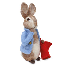 Load image into Gallery viewer, The Crafty Kit Company - Beatrix Potter Peter Rabbit - Needle Felting Kit