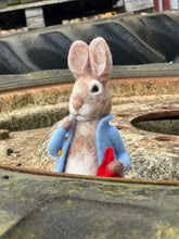 Load image into Gallery viewer, The Crafty Kit Company - Beatrix Potter Peter Rabbit - Needle Felting Kit
