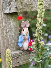 Load image into Gallery viewer, The Crafty Kit Company - Beatrix Potter Peter Rabbit - Needle Felting Kit