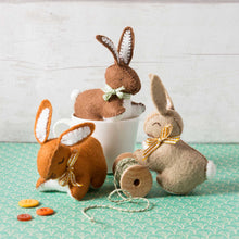 Load image into Gallery viewer, Corinne Lapierre - Felt Craft Kit - Bunnies