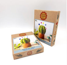 Load image into Gallery viewer, Corinne Lapierre - Mini Felt Craft Kit - Cactus Pincushion