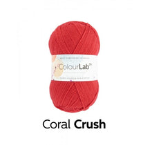 Load image into Gallery viewer, West Yorkshire Spinnners - Colour Lab Double Knit Wool