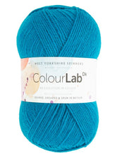 Load image into Gallery viewer, West Yorkshire Spinnners - Colour Lab Double Knit Wool