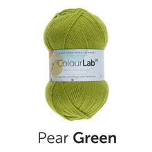 Load image into Gallery viewer, West Yorkshire Spinnners - ColourLab DK Wool