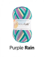Load image into Gallery viewer, West Yorkshire Spinnners - Colour Lab Double Knit Wool