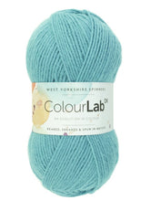 Load image into Gallery viewer, West Yorkshire Spinnners - Colour Lab Double Knit Wool