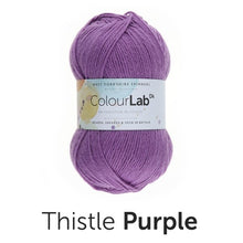 Load image into Gallery viewer, West Yorkshire Spinnners - ColourLab DK Wool