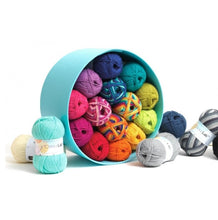 Load image into Gallery viewer, West Yorkshire Spinnners - Colour Lab Double Knit Wool