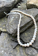 Load image into Gallery viewer, Alice Rose Jewellery - Small-Big Pearl Necklace

