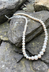 Alice Rose Jewellery - Small-Big Pearl Necklace