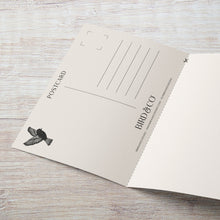 Load image into Gallery viewer, Bird &amp; Co Studio - Ox-Eye Daisy Reusable Card
