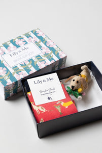 Lily & Me - Daisy Keyring Giftbox Assorted