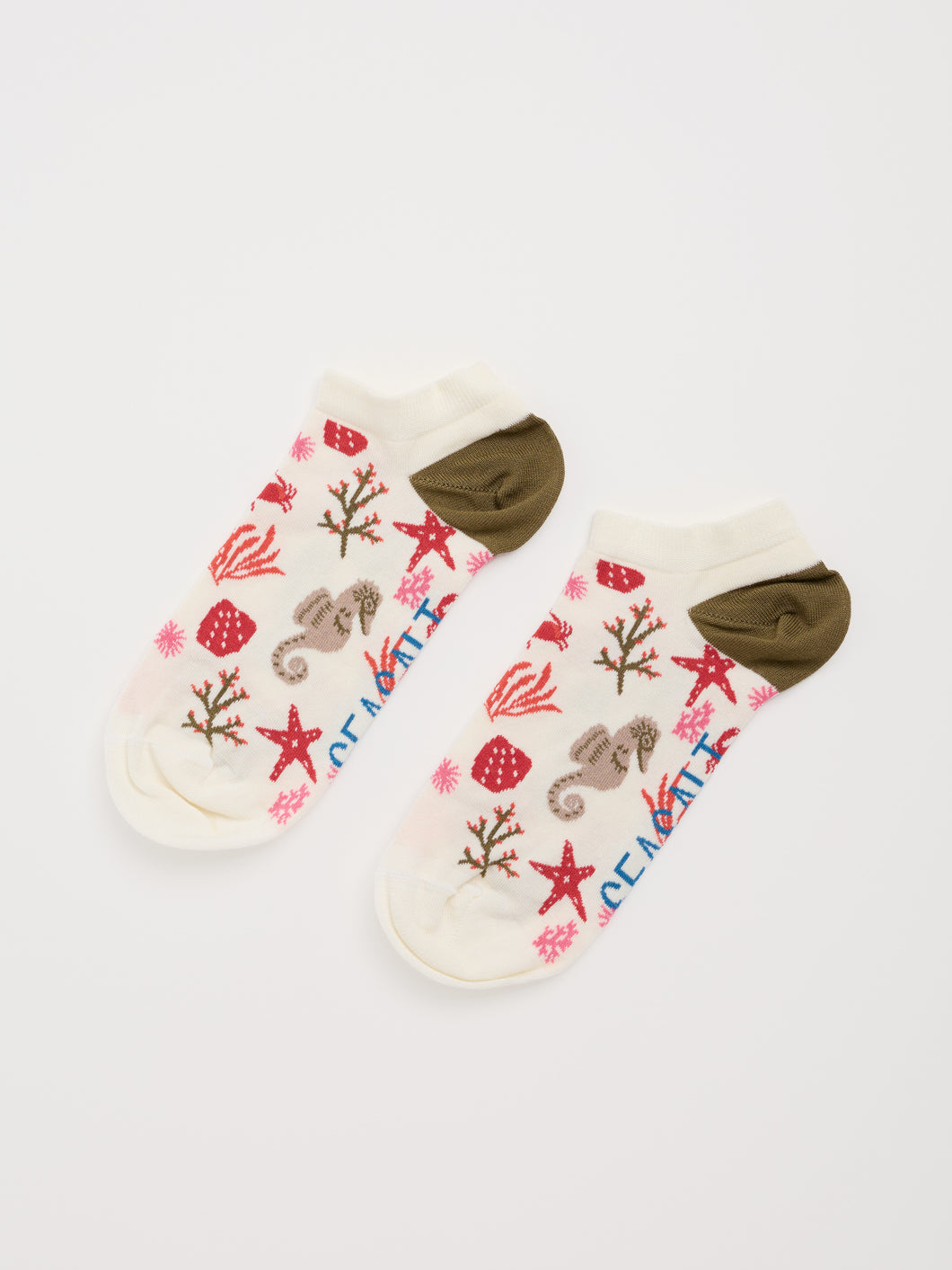 Sea Salt - Womens Bamboo Arty Trainer Socks in Starfish Sea Chalk