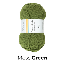 Load image into Gallery viewer, West Yorkshire Spinners - Colour Lab Aran Wool
