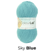 Load image into Gallery viewer, West Yorkshire Spinnners - ColourLab DK Wool
