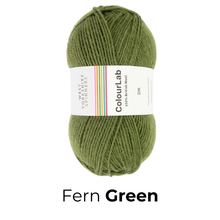Load image into Gallery viewer, West Yorkshire Spinnners - ColourLab DK Wool
