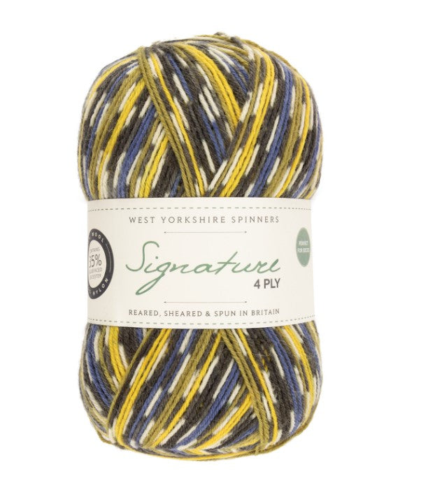 West Yorkshire Spinners - Signature 4Ply Blue Tit