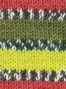 West Yorkshire Spinners - Signature 4Ply Green Woodpecker