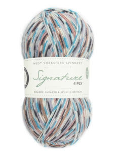 West Yorkshire Spinners - Signature 4Ply Country Birds Jay