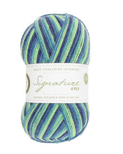 Load image into Gallery viewer, West Yorkshire Spinners - Signature 4Ply Cocktail Blue Lagoon
