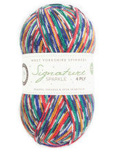 Load image into Gallery viewer, West Yorkshire Spinners - Signature Sparkle 4Ply Nutcracker 1166
