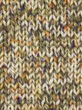 Load image into Gallery viewer, West Yorkshire Spinners - The Croft: 100% Shetland Aran Wool
