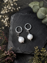 Load image into Gallery viewer, Alice Rose Jewellery - The Willow Earrings Silver

