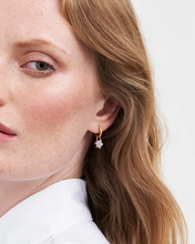 Load image into Gallery viewer, Fable - Gold Nightshade Huggie Earrings
