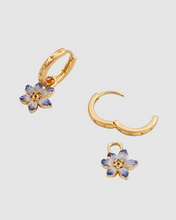 Load image into Gallery viewer, Fable - Gold Nightshade Huggie Earrings
