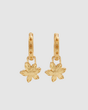 Load image into Gallery viewer, Fable - Gold Nightshade Huggie Earrings
