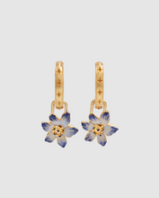 Load image into Gallery viewer, Fable - Gold Nightshade Huggie Earrings
