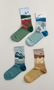 Sea Salt - Sailor Socks Box of 4 Scenic - Hall Walk Mix